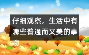 仔細(xì)觀察，生活中有哪些普通而又美的事物小練筆三年級