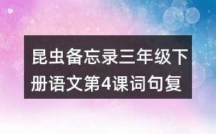 昆蟲備忘錄三年級(jí)下冊(cè)語(yǔ)文第4課詞句復(fù)習(xí)要點(diǎn)筆記