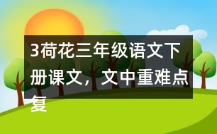 3荷花三年級(jí)語文下冊(cè)課文，文中重難點(diǎn)復(fù)習(xí)筆記歸納