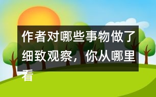 作者對(duì)哪些事物做了細(xì)致觀察，你從哪里看出來的