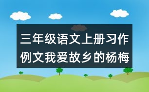 三年級語文上冊習作例文：我愛故鄉(xiāng)的楊梅優(yōu)秀范文2篇