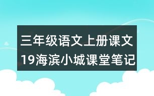 三年級(jí)語文上冊(cè)課文19海濱小城課堂筆記本課知識(shí)點(diǎn)