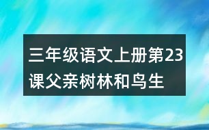 三年級(jí)語(yǔ)文上冊(cè)第23課父親、樹林和鳥生字組詞與近反義詞