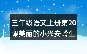 三年級語文上冊第20課美麗的小興安嶺生字組詞與多音字組詞