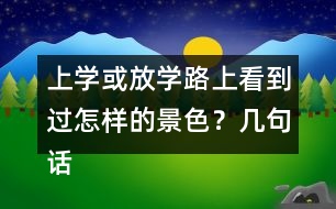 上學或放學路上看到過怎樣的景色？幾句話寫下來