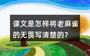 課文是怎樣將老麻雀的無畏寫清楚的？