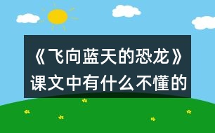 《飛向藍天的恐龍》課文中有什么不懂的問題并試著解決