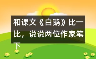 和課文《白鵝》比一比，說說兩位作家筆下的鵝有什么共同點？