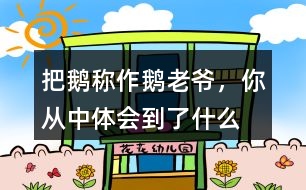 把鵝稱作“鵝老爺”，你從中體會到了什么?