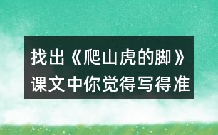 找出《爬山虎的腳》課文中你覺得寫得準(zhǔn)確、形象的句子，抄寫下來(lái)。