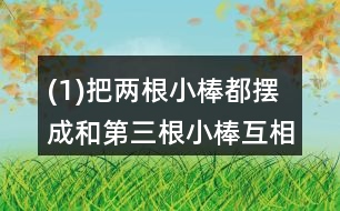 (1)把兩根小棒都擺成和第三根小棒互相平行?？匆豢?，這兩根小棒互相平行嗎?