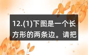 12.(1)下圖是一個(gè)長(zhǎng)方形的兩條邊。請(qǐng)把這個(gè)長(zhǎng)方形畫(huà)完整。