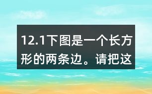 12.（1）下圖是一個(gè)長(zhǎng)方形的兩條邊。請(qǐng)把這個(gè)長(zhǎng)方形畫完整。