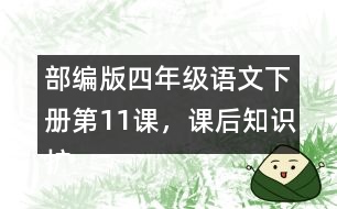 部編版四年級(jí)語(yǔ)文下冊(cè)第11課，課后知識(shí)擴(kuò)展：什么是白樺樹(shù)