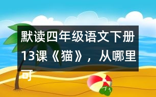 默讀四年級(jí)語文下冊(cè)13課《貓》，從哪里可以看出作者喜歡貓