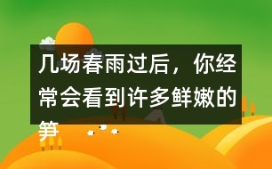 幾場(chǎng)春雨過后，你經(jīng)常會(huì)看到許多鮮嫩的筍，成群的從土里探出來，找到文中類似的句子