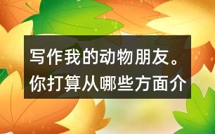 寫作：我的動物朋友。你打算從哪些方面介紹它的特點(diǎn)？