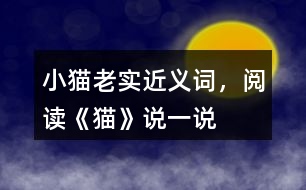 小貓老實近義詞，閱讀《貓》說一說