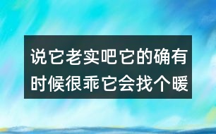 說它老實(shí)吧它的確有時(shí)候很乖它會找個(gè)暖和的地方仿寫