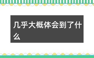 幾乎大概體會到了什么