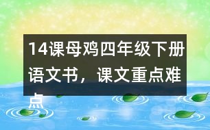 14課母雞四年級下冊語文書，課文重點難點筆記