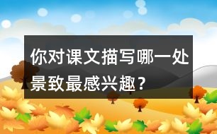 你對(duì)課文描寫哪一處景致最感興趣？