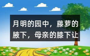 “月明的園中，藤蘿的腋下，母親的膝下”讓你有何感受？