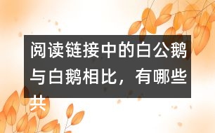 閱讀鏈接中的白公鵝與白鵝相比，有哪些共同點？