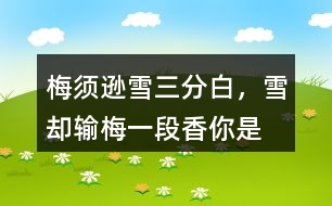 “梅須遜雪三分白，雪卻輸梅一段香”你是如何理解的