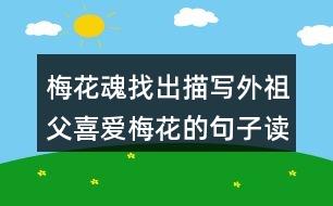 梅花魂找出描寫外祖父喜愛梅花的句子讀一讀，體會(huì)這些句子對(duì)表達(dá)外祖父的思鄉(xiāng)之情有什么好處。