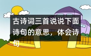 古詩詞三首說說下面詩句的意思，體會詩句表達的思想感情。