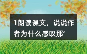 1、朗讀課文，說說作者為什么感嘆“那‘鳥的天堂’的確是鳥的天堂”。