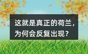 這就是真正的荷蘭，為何會反復(fù)出現(xiàn)？