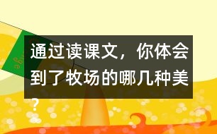 通過讀課文，你體會(huì)到了牧場(chǎng)的哪幾種美？