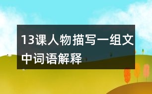 13課人物描寫(xiě)一組文中詞語(yǔ)解釋