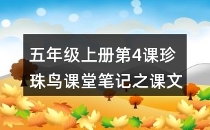 五年級(jí)上冊第4課珍珠鳥課堂筆記之課文主題
