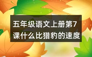 五年級語文上冊第7課什么比獵豹的速度更快生字組詞與詞語理解