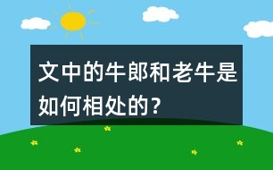 文中的牛郎和老牛是如何相處的？