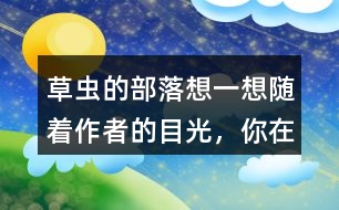 草蟲的部落想一想隨著作者的目光，你在“曹操的部落”看到了什么，印象最深的有哪些？
