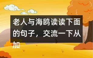 老人與海鷗讀讀下面的句子，交流一下從加點的詞句中體會到了什么，再把句子抄下來。
