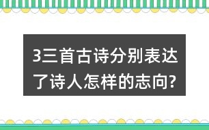 3、三首古詩分別表達(dá)了詩人怎樣的志向?表達(dá)的方法有什么共同特點?
