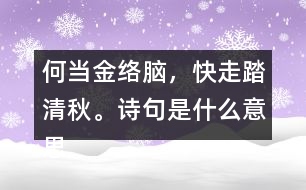 何當(dāng)金絡(luò)腦，快走踏清秋。詩句是什么意思
