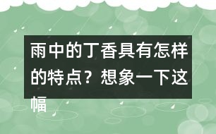 雨中的丁香具有怎樣的特點？想象一下這幅畫面。