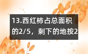 13.西紅柿占總面積的2/5，剩下的地按2:1的比種黃瓜和茄子。