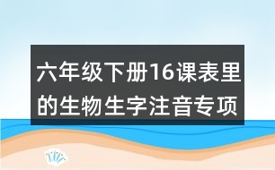 六年級(jí)下冊(cè)16課表里的生物生字注音專(zhuān)項(xiàng)練習(xí)答案