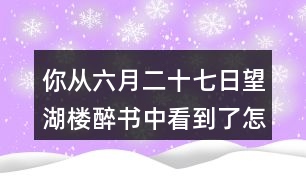 你從六月二十七日望湖樓醉書(shū)中看到了怎樣的一幅畫(huà)面？