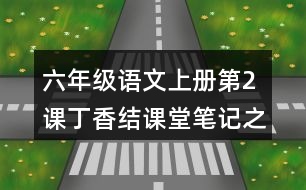 六年級語文上冊第2課丁香結課堂筆記之本課重難點