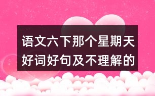 語文六下那個星期天好詞好句及不理解的詞語