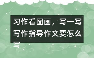 習(xí)作：看圖畫，寫一寫寫作指導(dǎo)作文要怎么寫