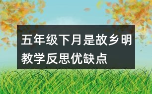五年級下月是故鄉(xiāng)明教學反思優(yōu)缺點